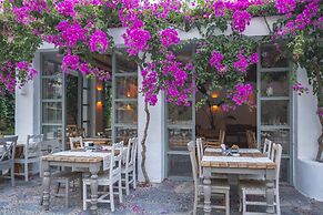 Flamingo Hotel & Spa - Pet Friendly