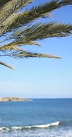 Apartamentos Llevant