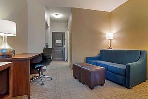 Comfort Suites Alexandria North