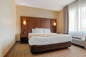 Comfort Suites Alexandria North