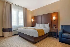 Comfort Suites Alexandria North