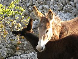 Agroturismo Son Siurana