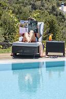 Pelican Alvor