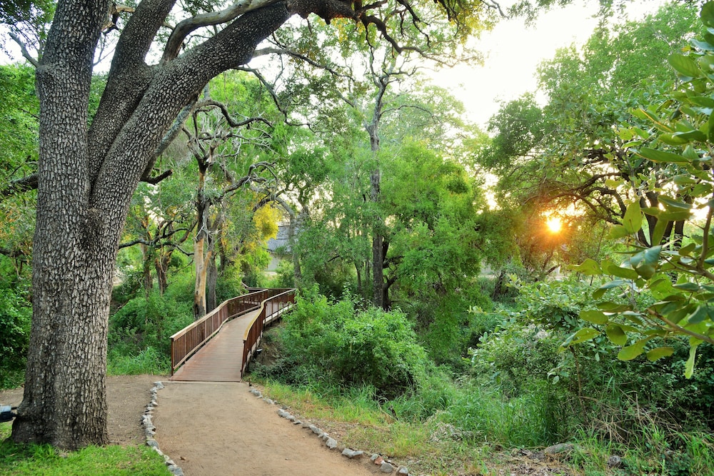 Imbali Safari Lodge