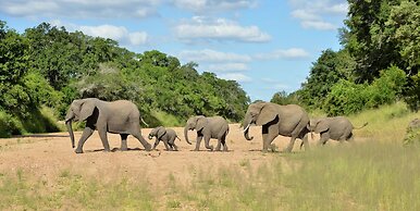 Imbali Safari Lodge