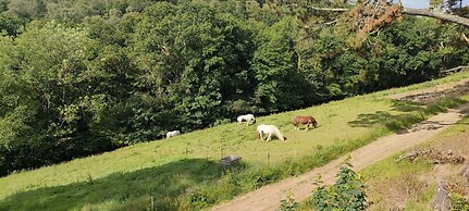 Great Trethew Manor Hotel & Restaurant