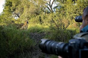 Lion Sands Tinga Lodge