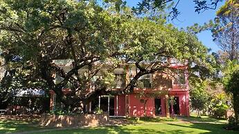 Casa Amor