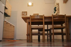 Urban Oasis Hostel