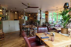 The Mount Edgcumbe