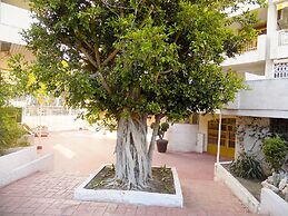Apartsalou Lea