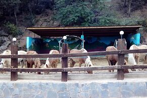 Camping Manso Coguleras