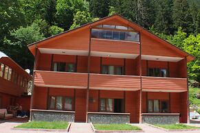 Gol Otel