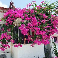 Narcicegi Alacati