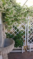 B&B Stella dei Campi