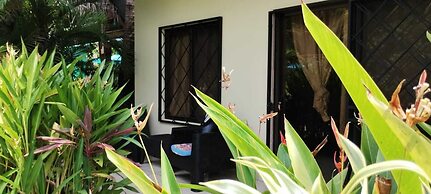 Aloha Surf Nosara