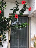 Pervin Hanim Konagi