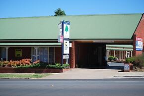 The Elms Motor Inn