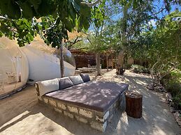 Rock and Sea Resort