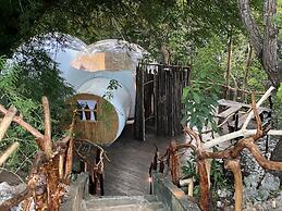 Rock and Sea Resort