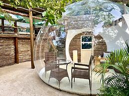 Rock and Sea Resort