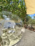 Rock and Sea Resort