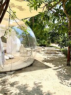 Rock and Sea Resort