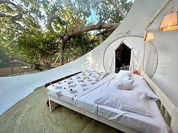 Rock and Sea Resort