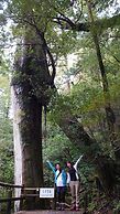 Minshuku Umikawa