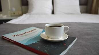 Hotel Temizay