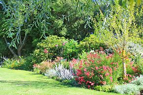 Silverstream Alpaca Farmstay and Tour