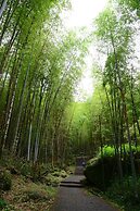 Ginkgo Hotel