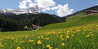 Pension Maria