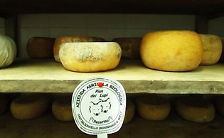 Agriturismo Pian dei Lupi