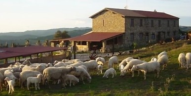 Agriturismo Pian dei Lupi