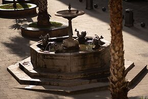 B&B Roof Garden