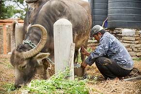 Hananoie-A Permaculture Resort