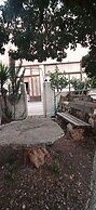 Windy Place