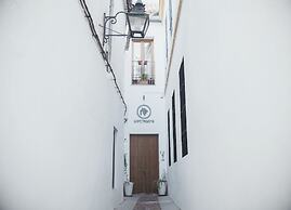 Lofts Trigo 13