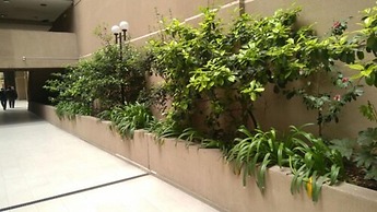 City Apartment