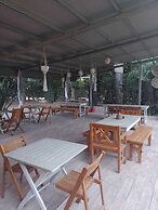 Mi Espacio Sur