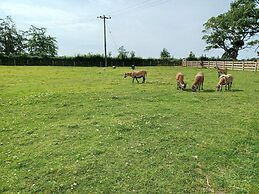 Green View Lodges