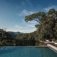 One&Only Nyungwe House