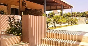 Petries Studios