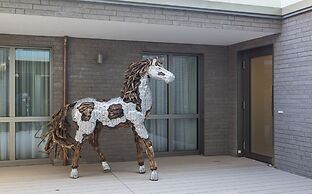MeerBlickD21