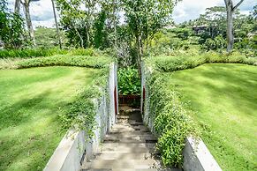 The Pandora Hotel