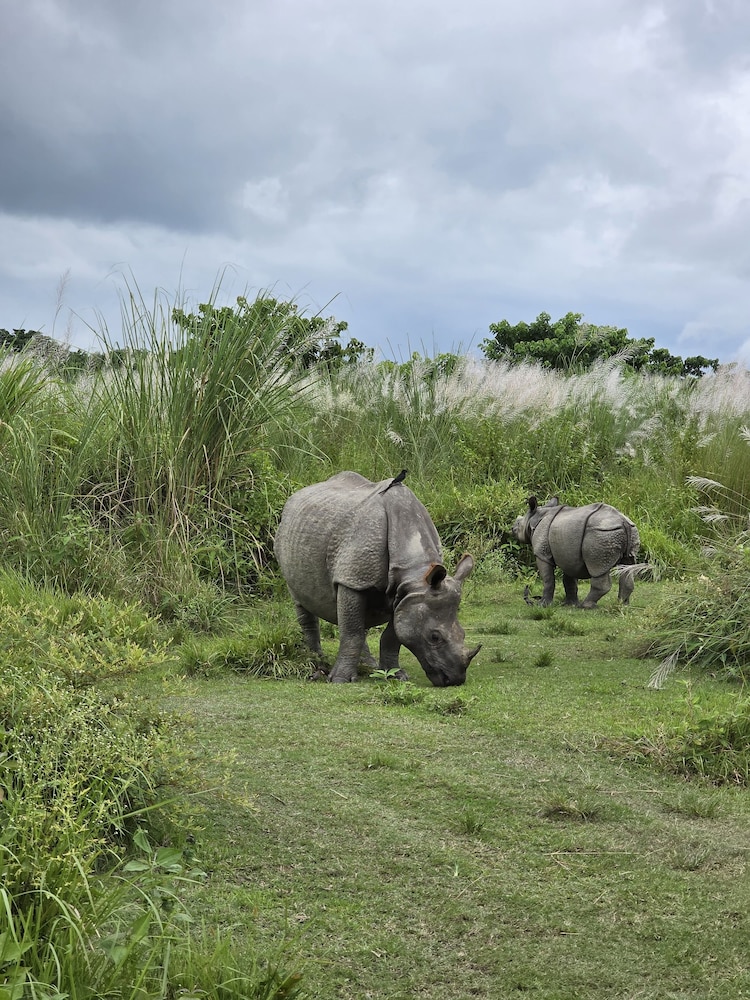 Siddhartha Wildlife Retreat