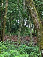 Siddhartha Wildlife Retreat