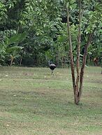 Siddhartha Wildlife Retreat