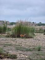 Siddhartha Wildlife Retreat